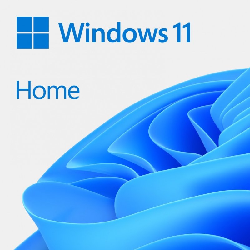 windows.jpg